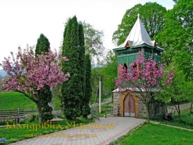 Тур’ї Ремети