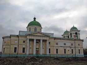 Ромашки