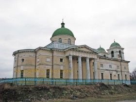 Ромашки