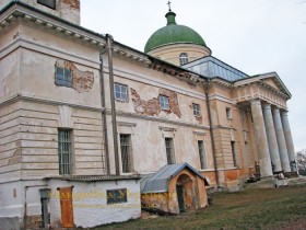 Ромашки