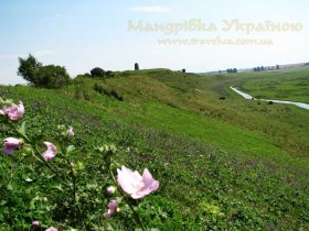 Тихомель Тихомель